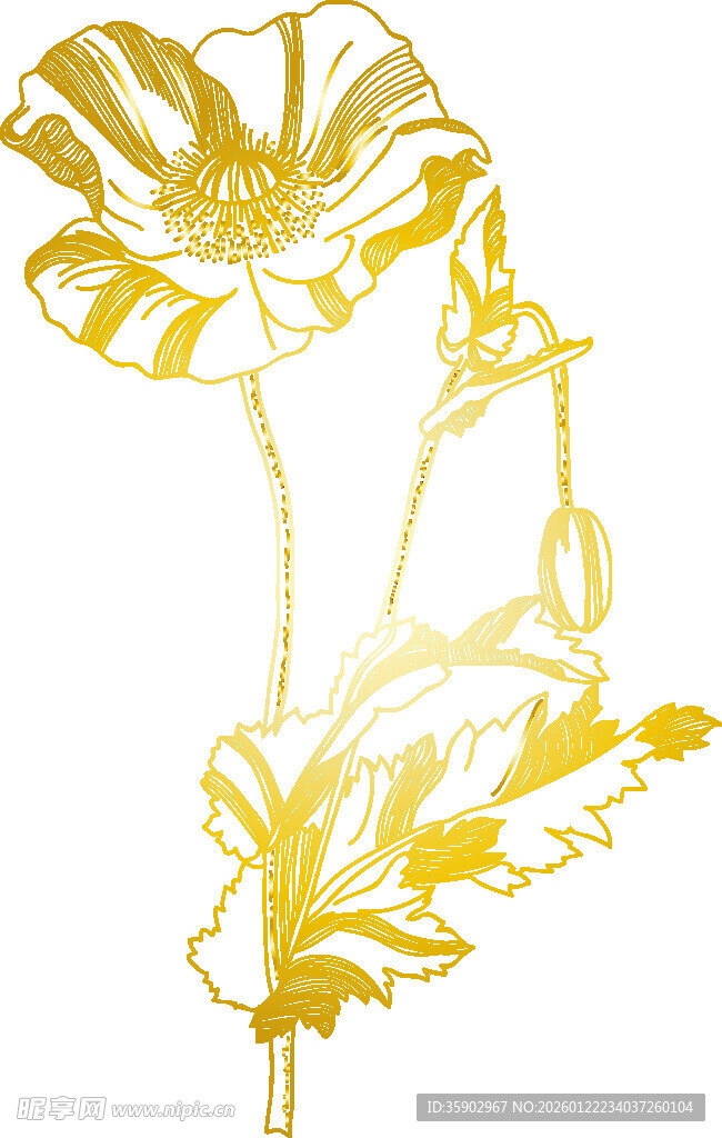 金色花卉线条艺术图案