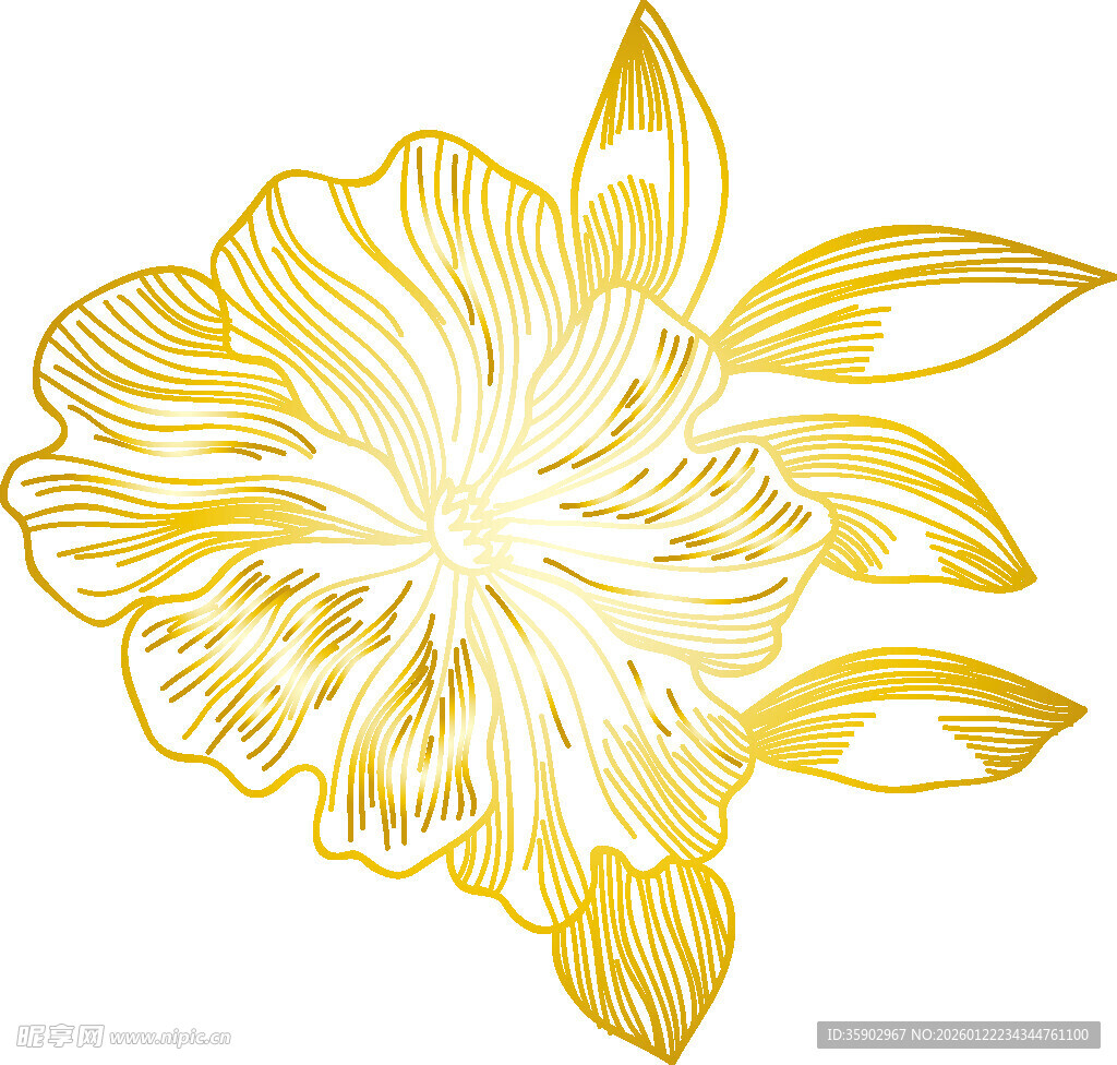 金色花卉图案