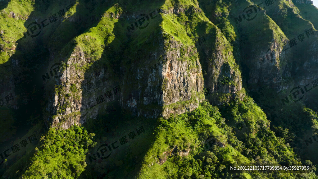 绿色大山实景近景图