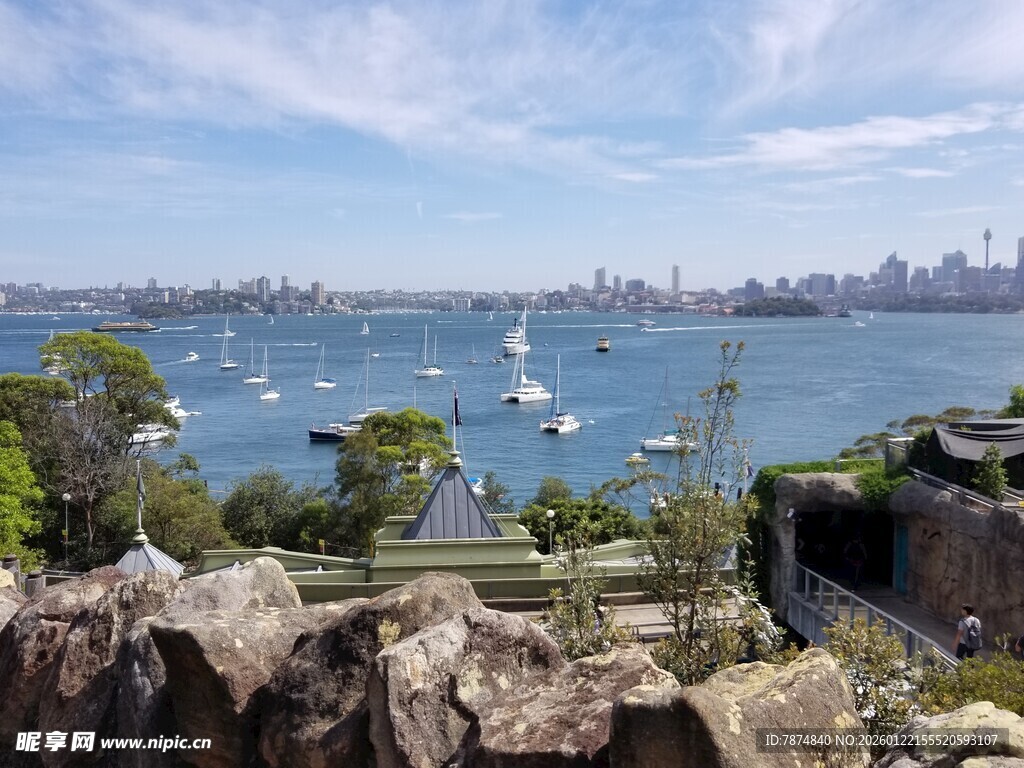 悉尼海港美丽自然景观