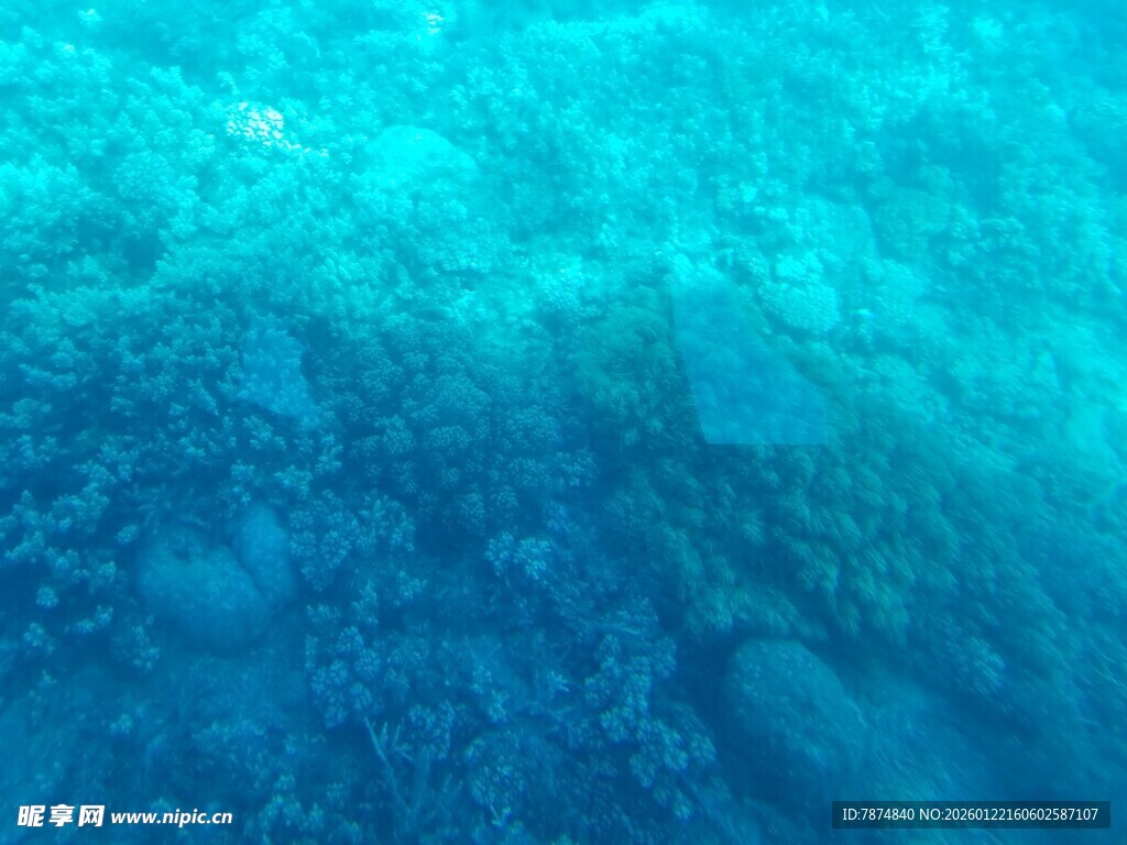 海底蓝色梦幻景致