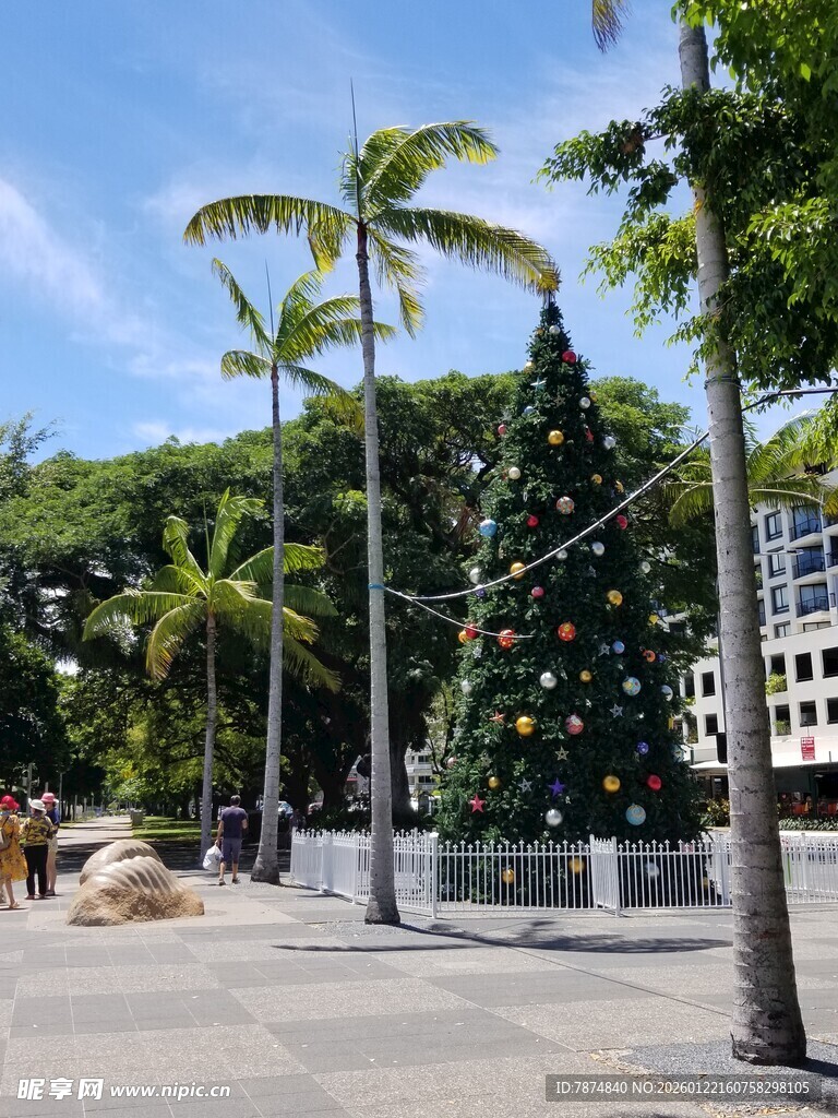 城市广场的圣诞树景观