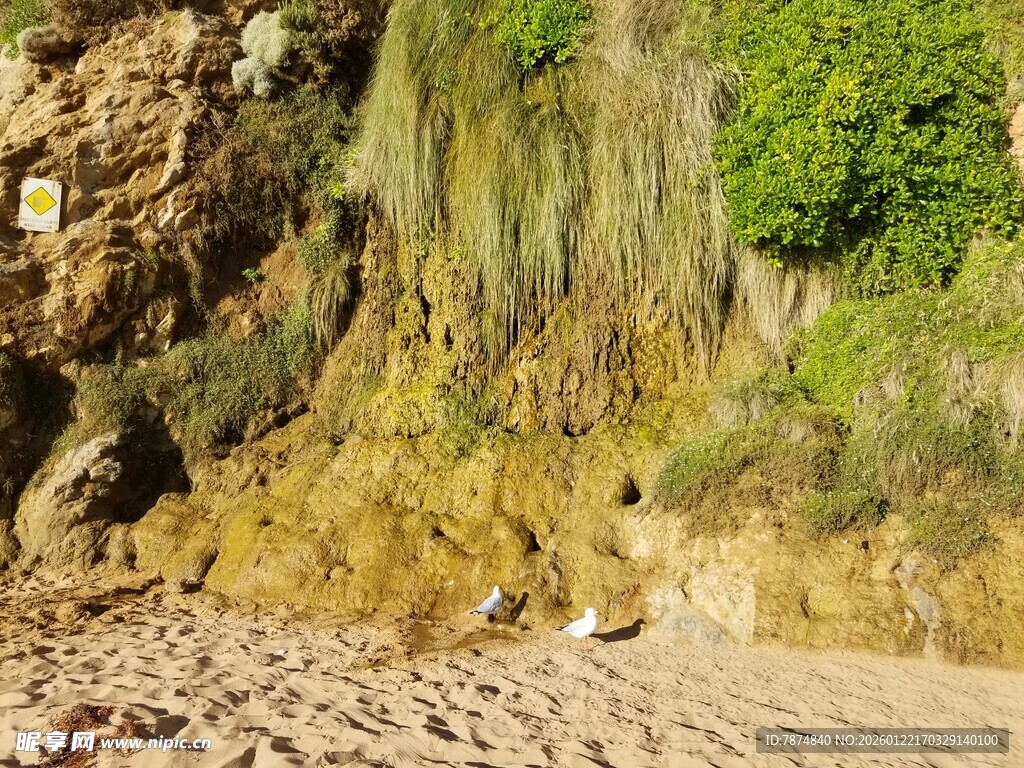 山间岩壁下的自然景致