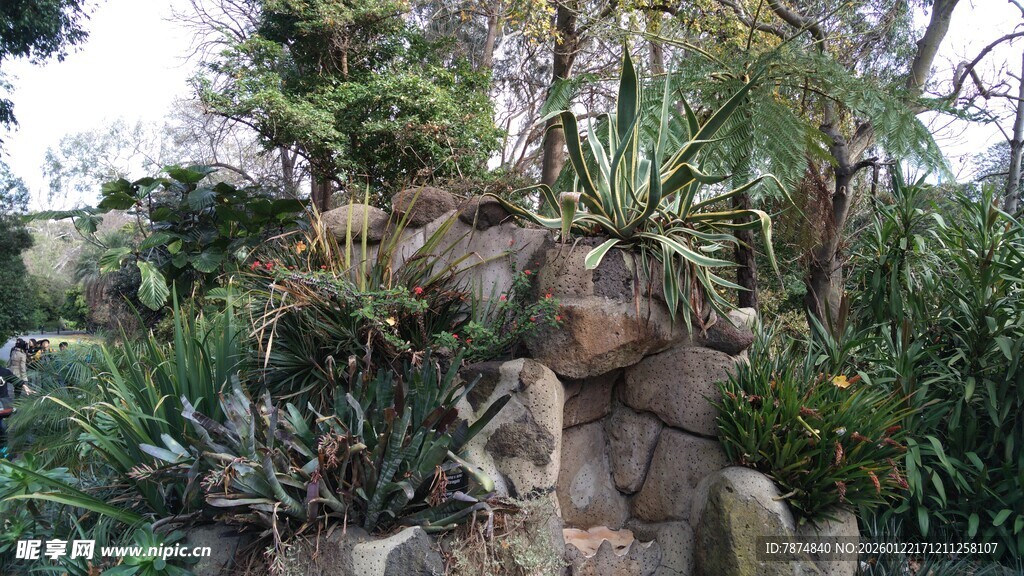自然风岩石绿植景观