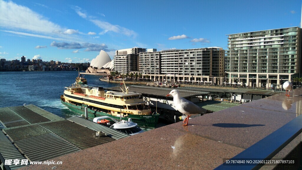 港口停靠的船只与城市景观