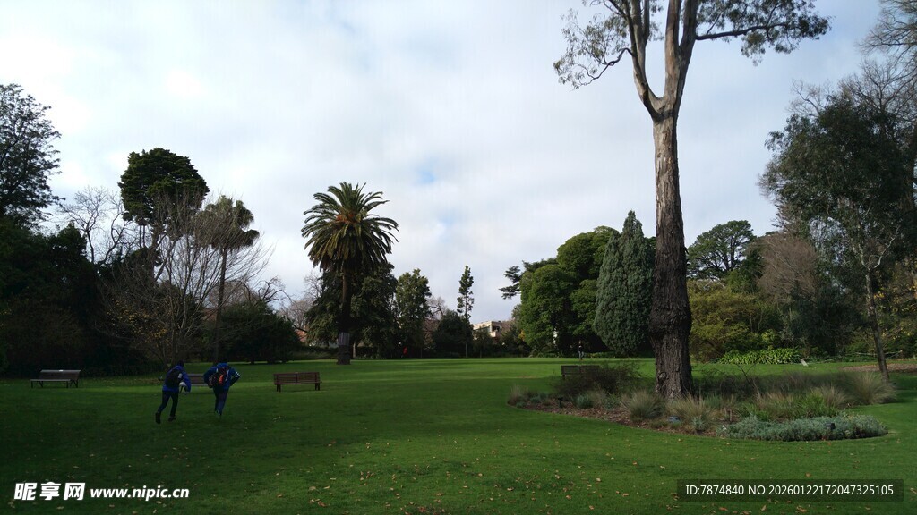 公园中的宁静绿意场景