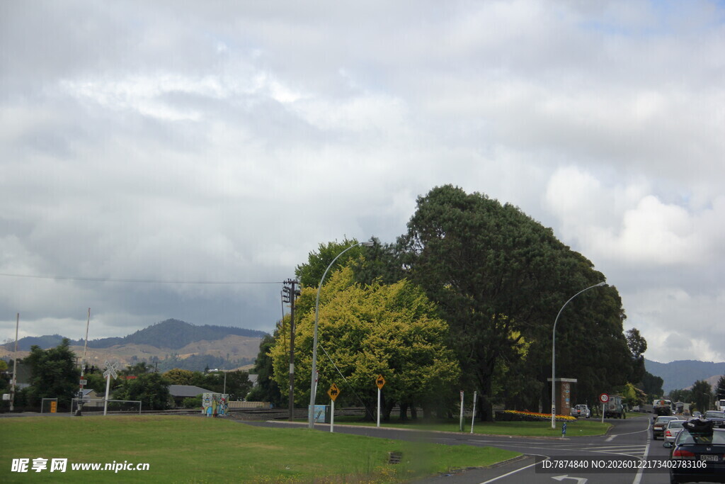 公路旁绿意盎然的风景