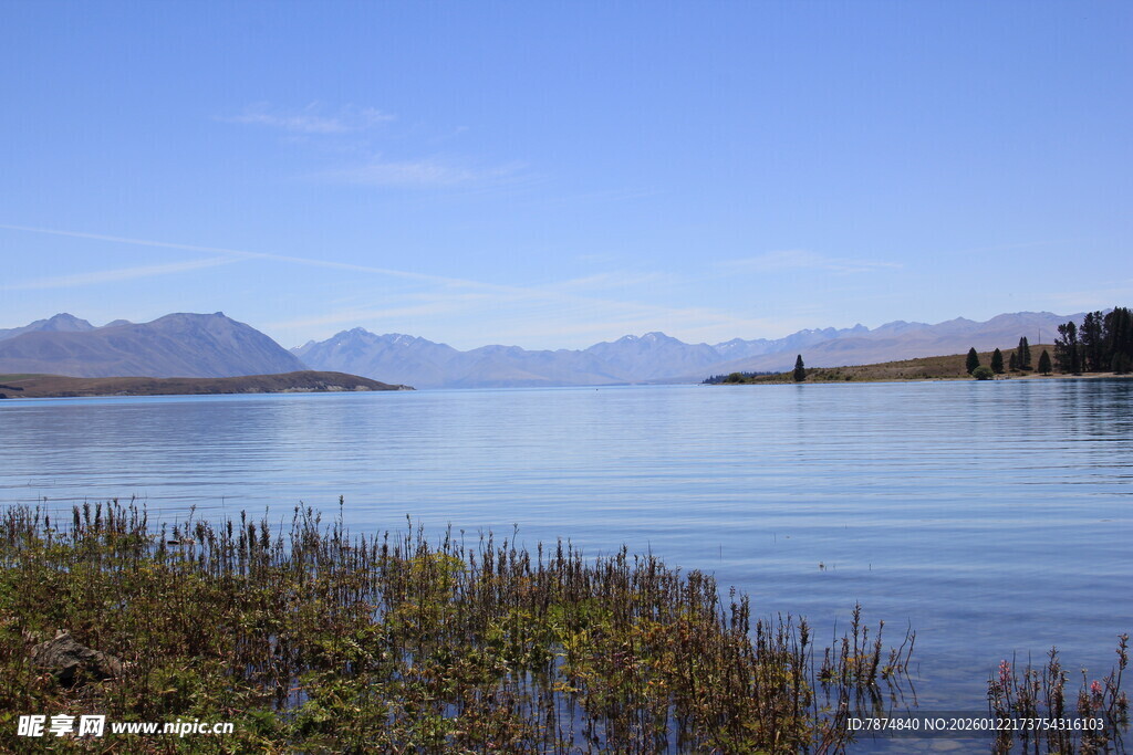 宁静湖畔的美丽自然风光