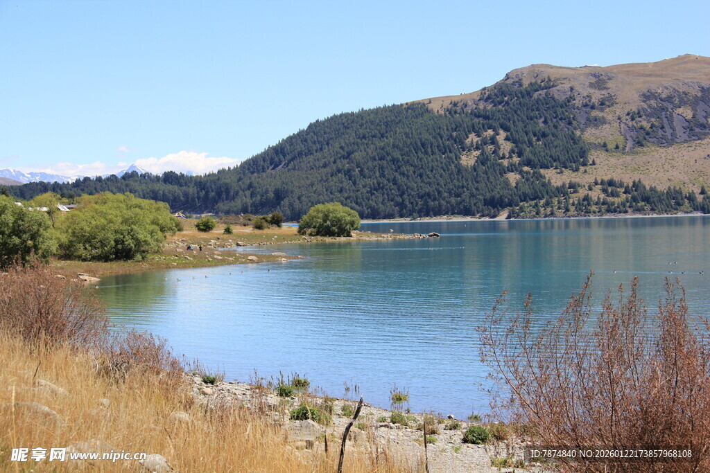 湖畔风光 自然美景如画