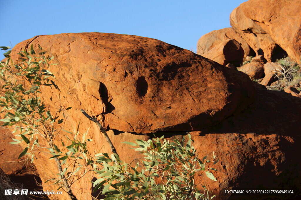 红岩旁的翠绿植物