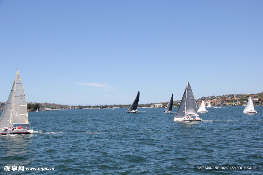 海上帆船竞赛场景