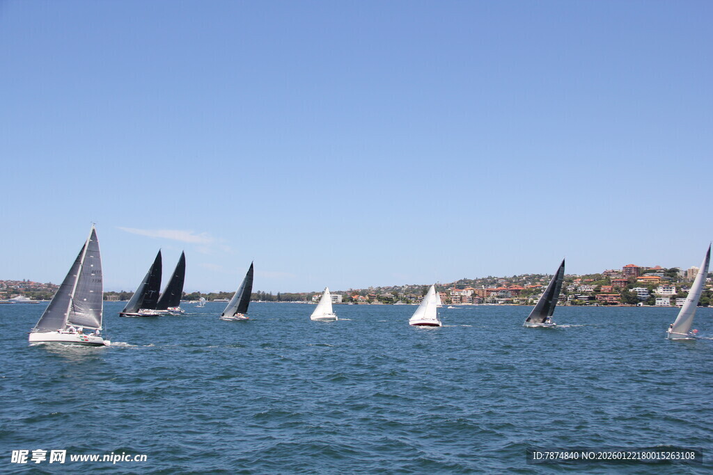 海上帆船竞赛场景