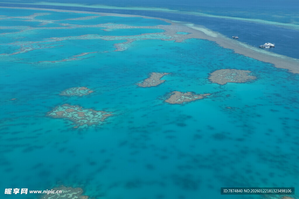 美丽清澈的海底珊瑚景观