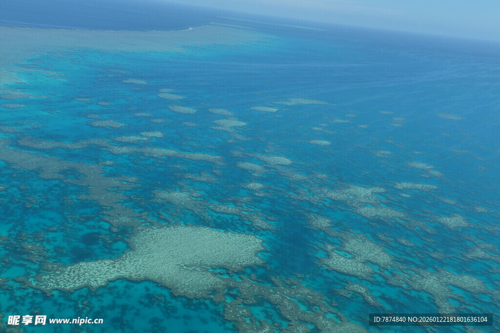 俯瞰绚丽多姿的海底世界