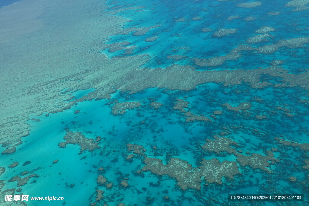 俯瞰绚丽多姿的海底珊瑚