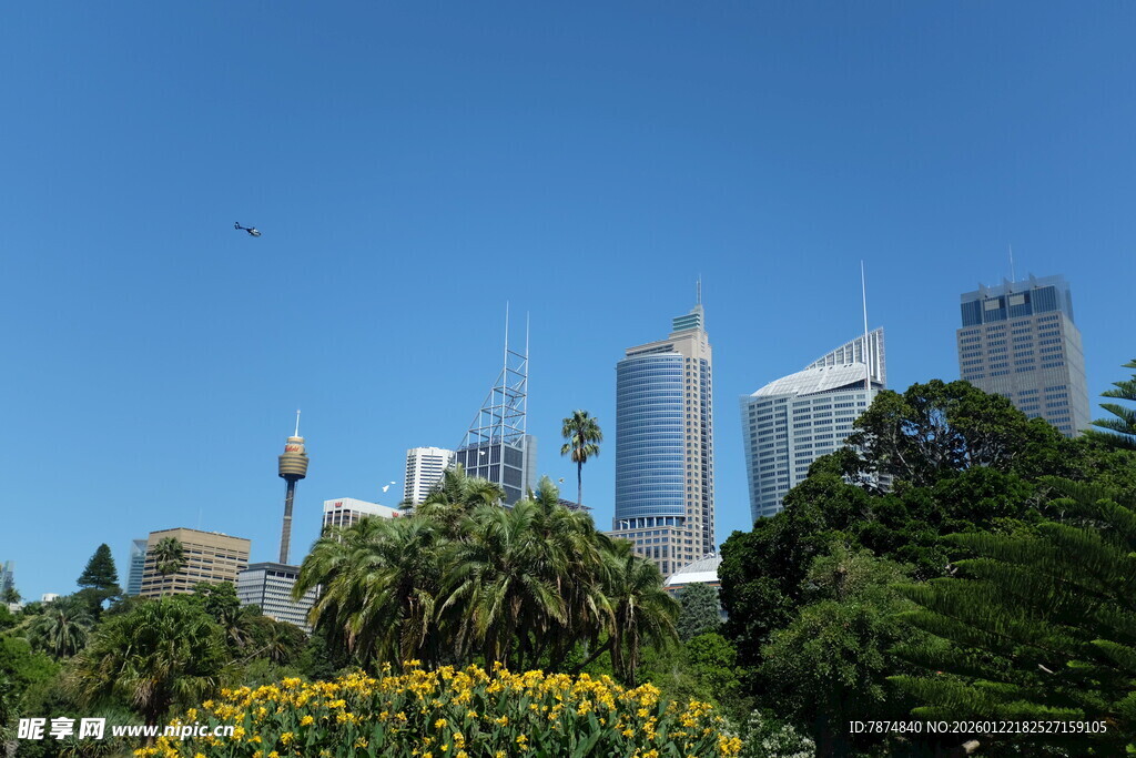悉尼城市景观与绿植花卉