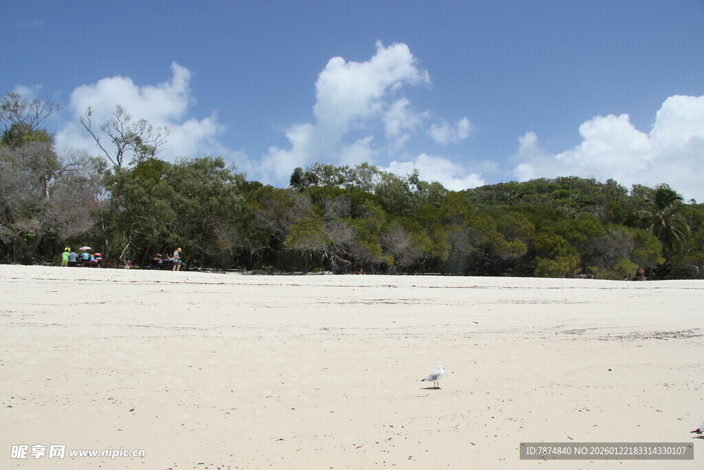 沙滩绿树蓝天美丽景致