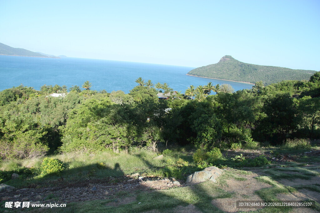 海边绿意盎然的自然风光