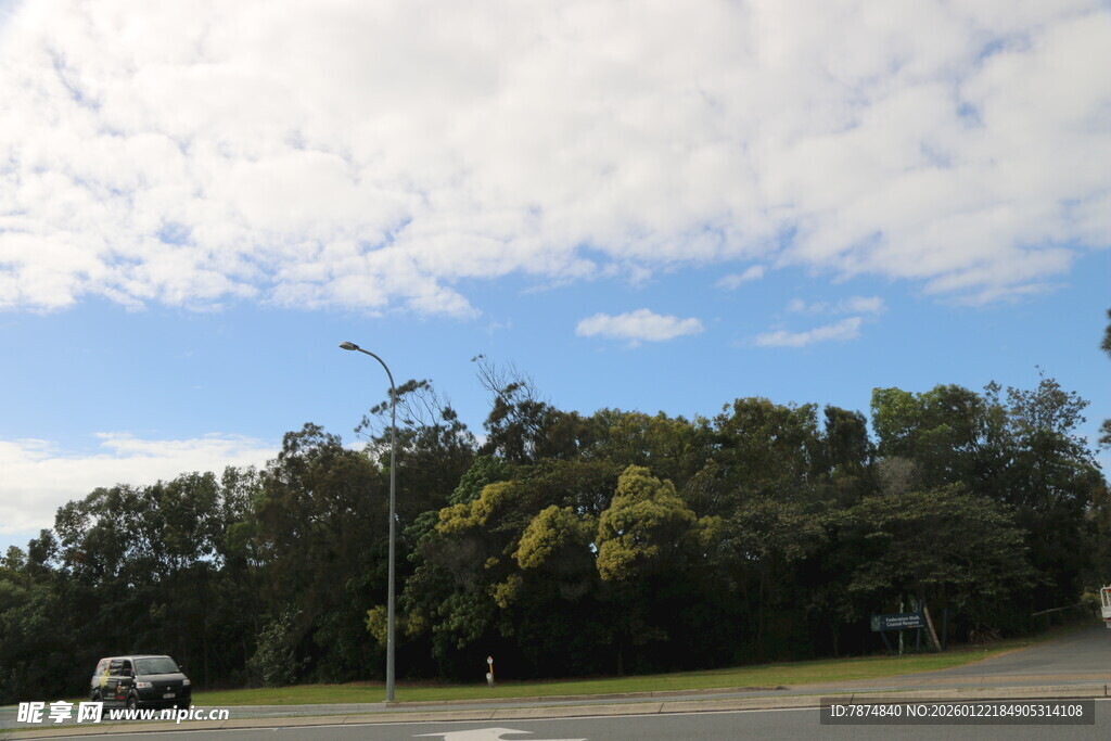 郊外绿树旁的开阔道路