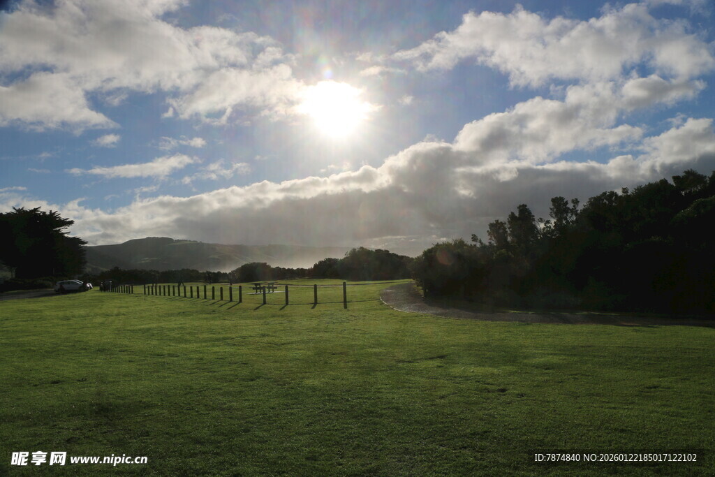 阳光照耀下的绿野风光