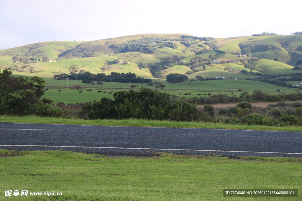 公路旁绿意盎然的山丘景色