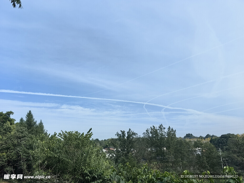 蓝天绿树自然风光图