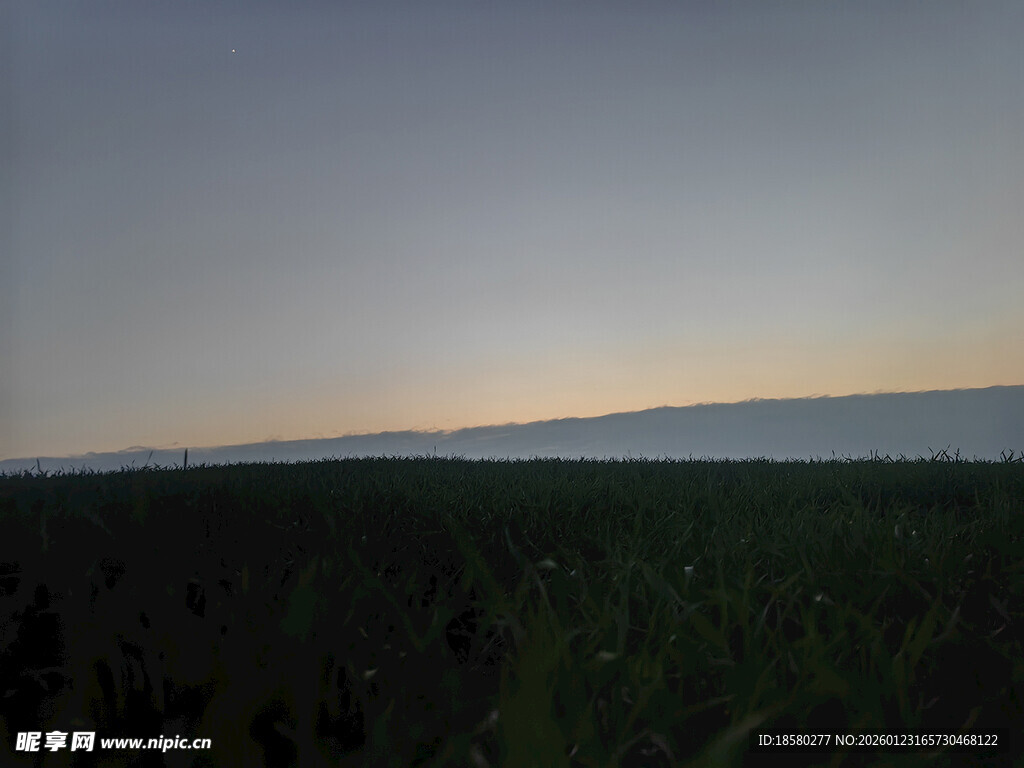 黄昏下的广袤森林景观