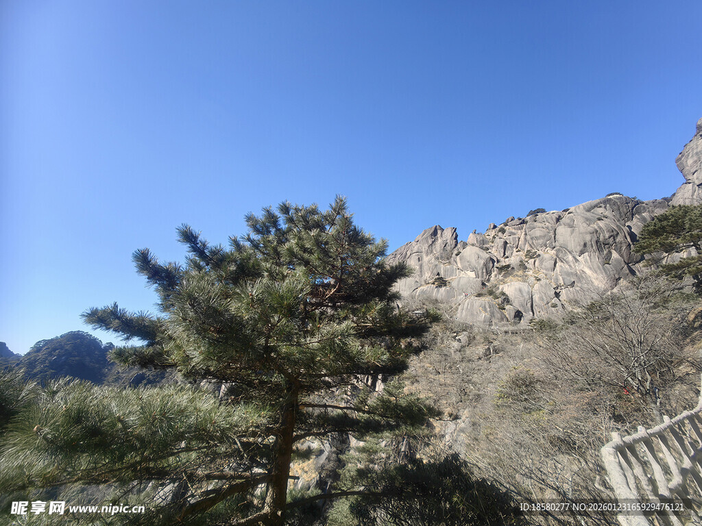 黄山山间青松与嶙峋山石