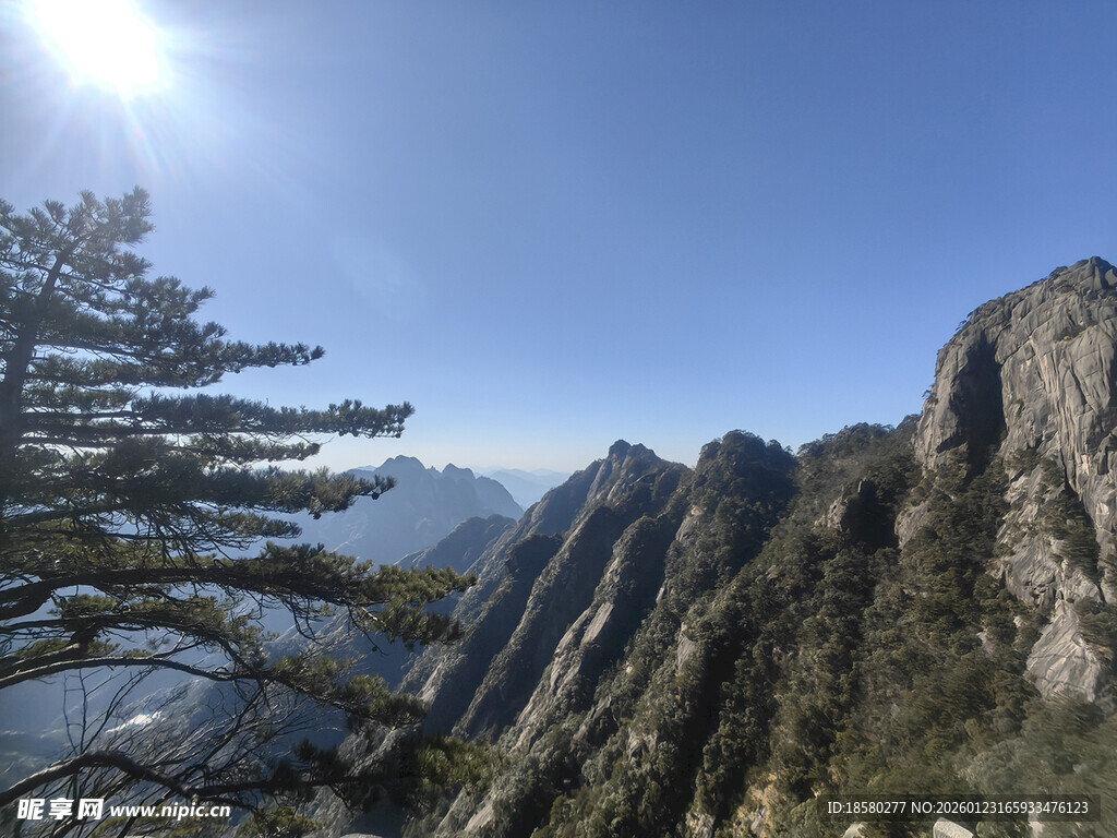 黄山壮丽山景与挺拔松树