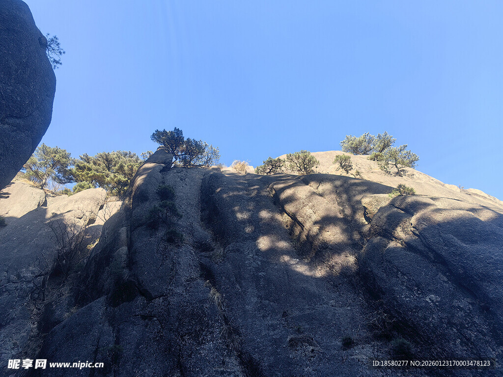 黄山陡峭岩壁上的稀疏树木