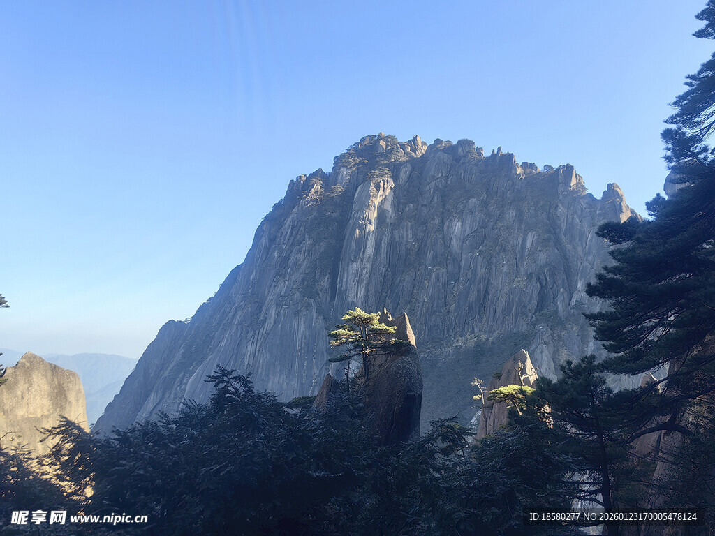 黄山巍峨山峰与葱郁林木景观