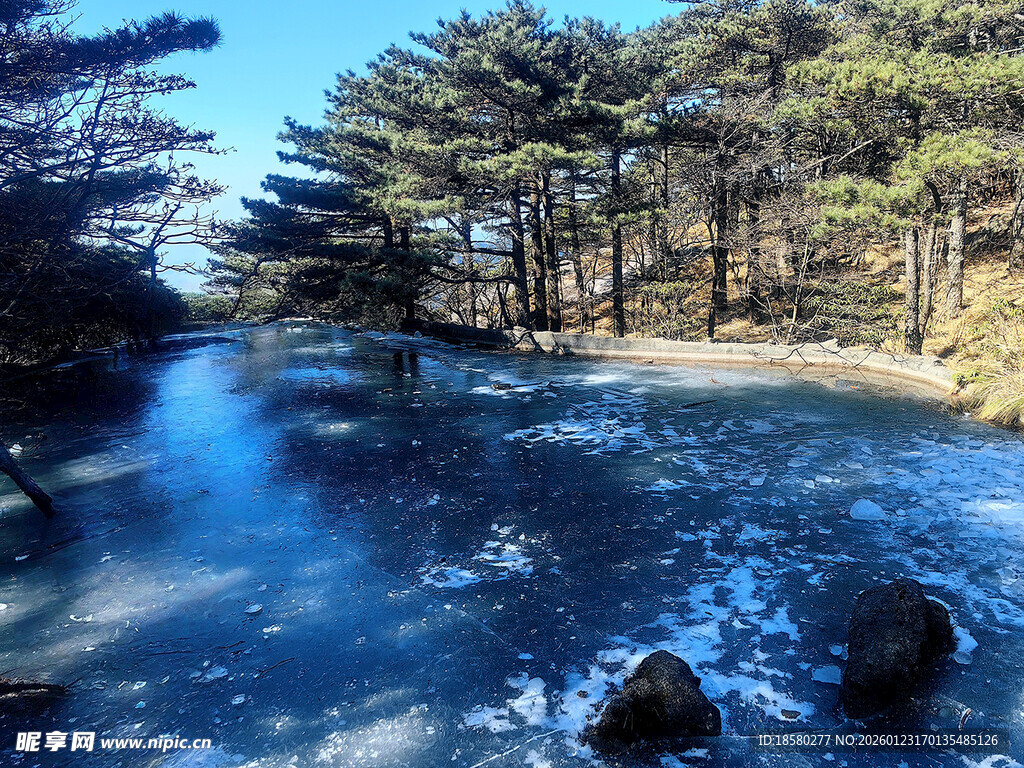 冬日林间清澈溪流美景