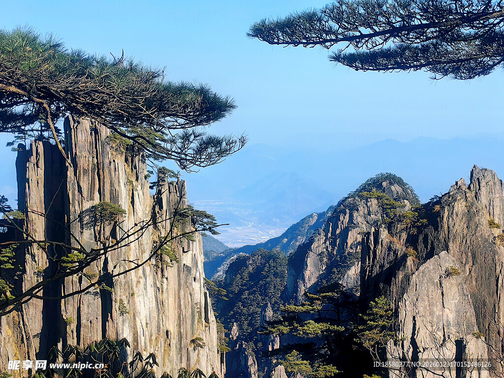 黄山奇峰与苍松景观