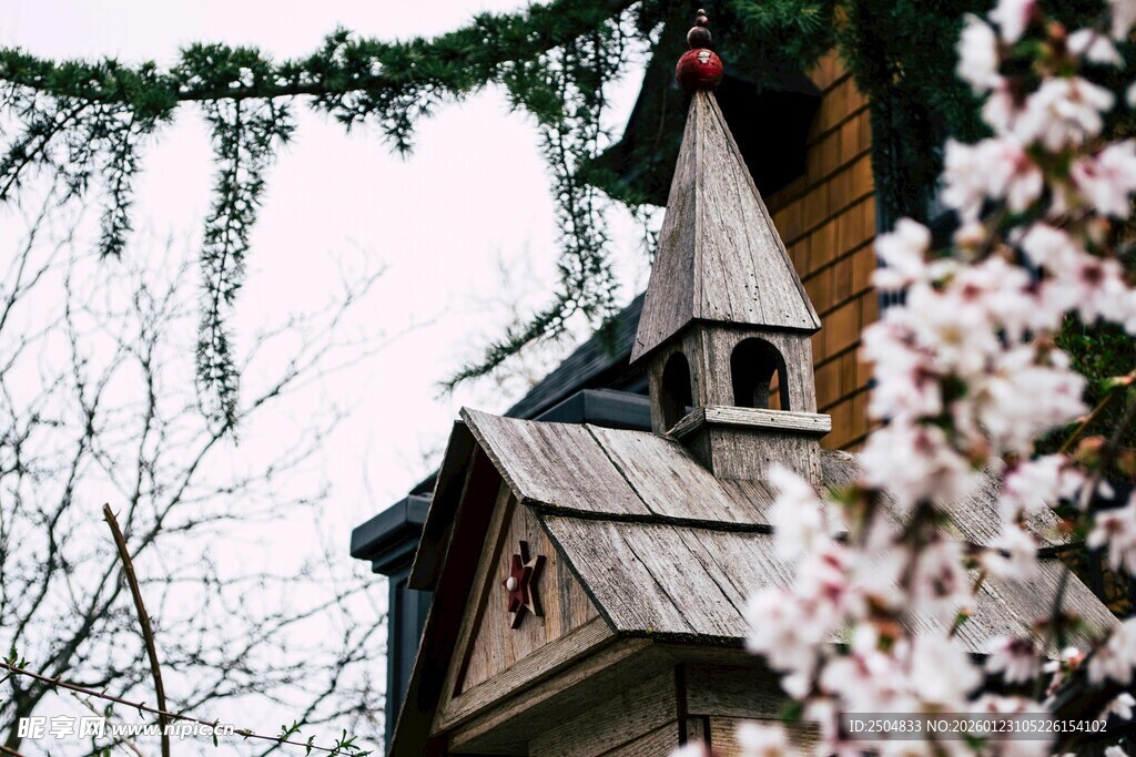 古朴尖顶小屋隐于繁花间
