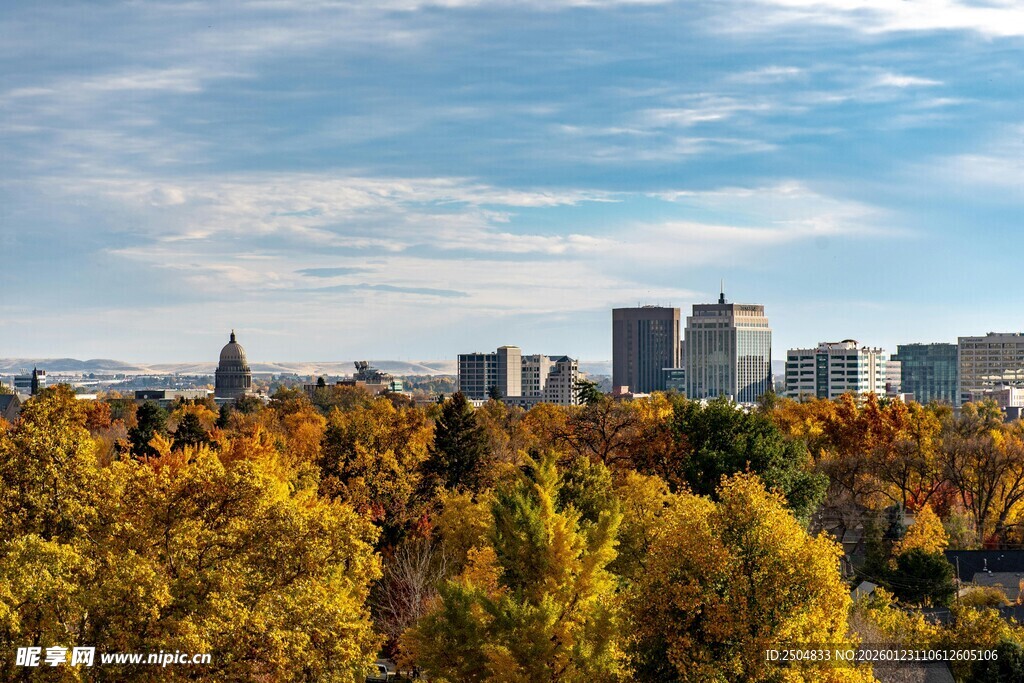 秋日城市与斑斓树林景观