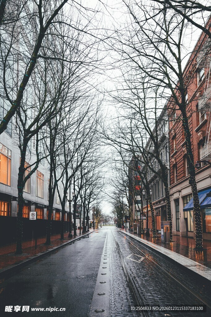 冬日湿滑街道的萧瑟景象
