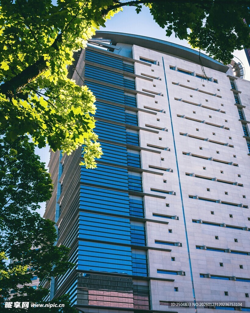 现代高楼旁的葱郁绿树