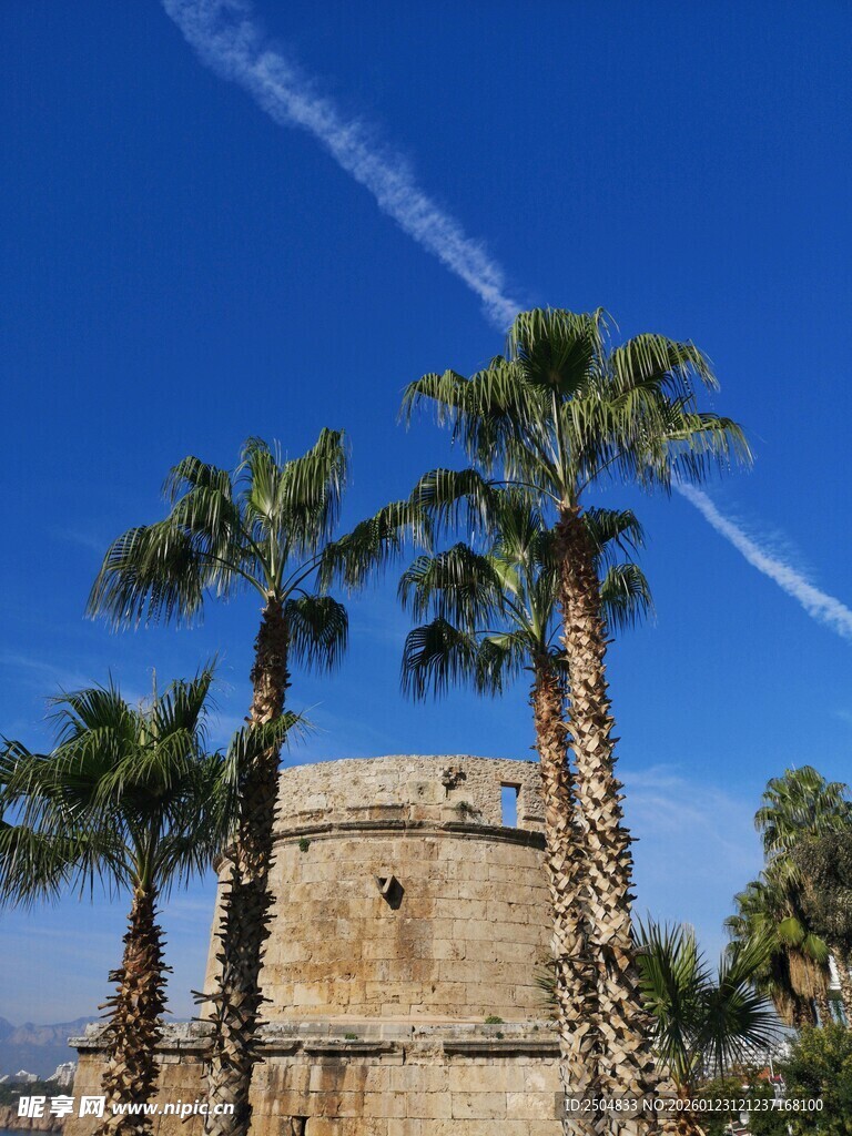 古老建筑旁的棕榈树与蓝天