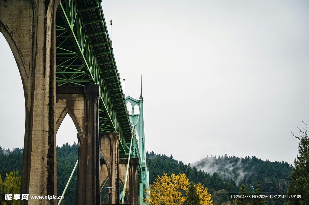绿色高架桥与山林景致