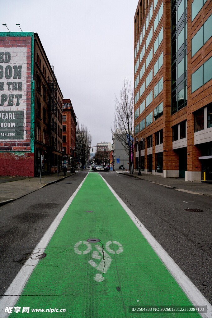 城市中的绿色自行车专用道