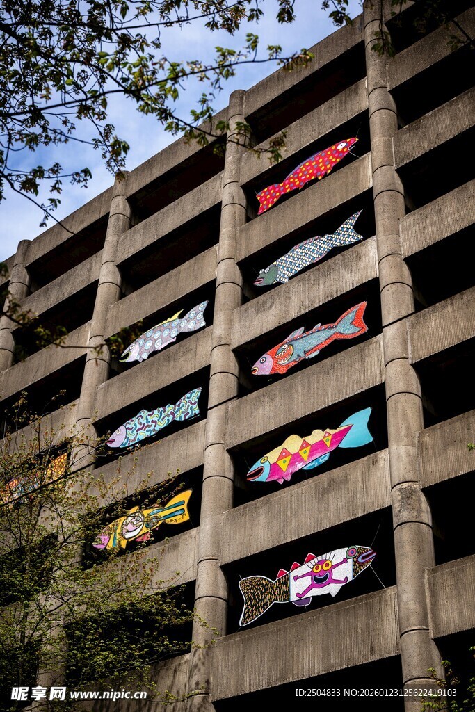 多彩窗饰装点老旧建筑