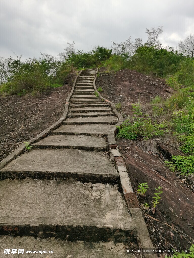 蜿蜒石阶路 隐于草木间