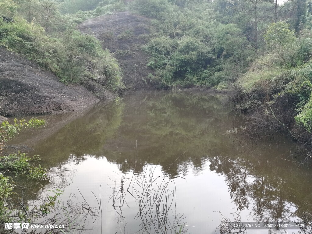 山间静谧小河景色