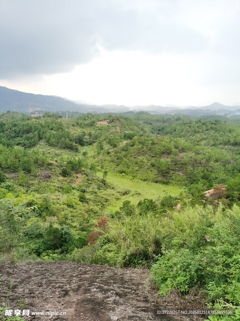 俯瞰葱郁繁茂的绿色山林