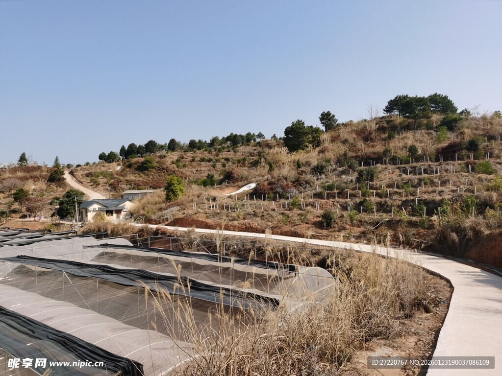 户外景观步道与周边植被