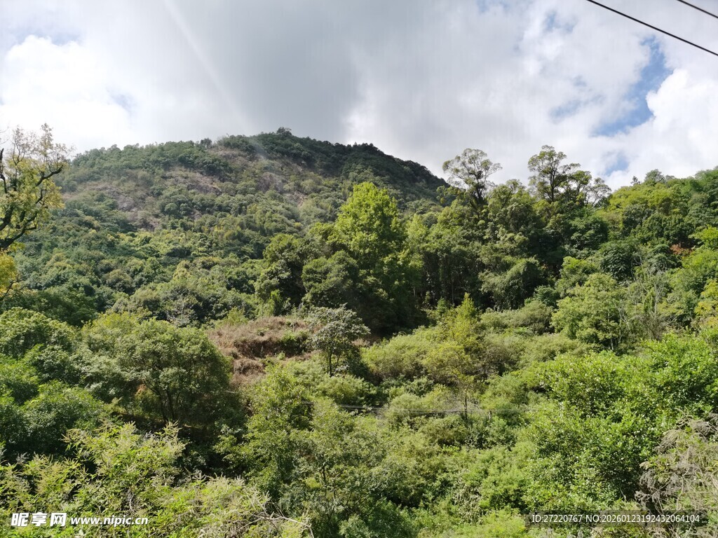 山林葱郁的自然美景