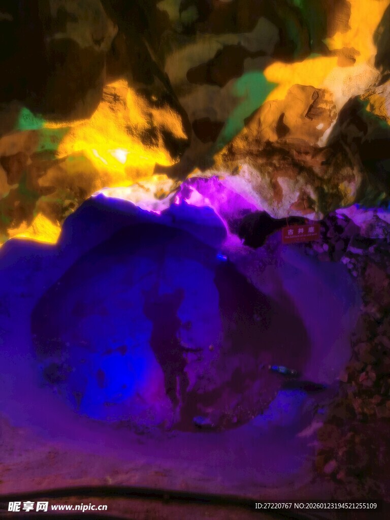 梦幻多彩的水下珊瑚景观