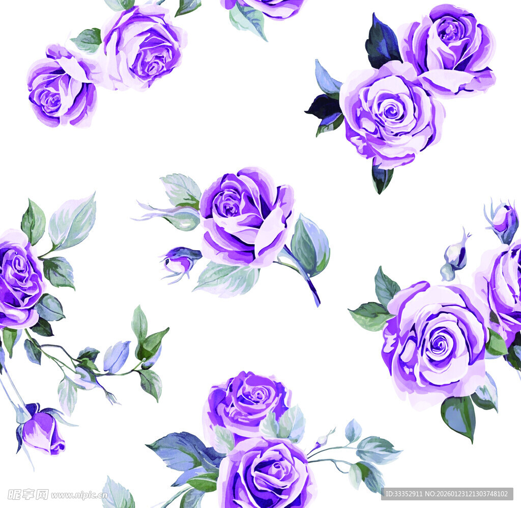 紫色玫瑰水彩花卉图案
