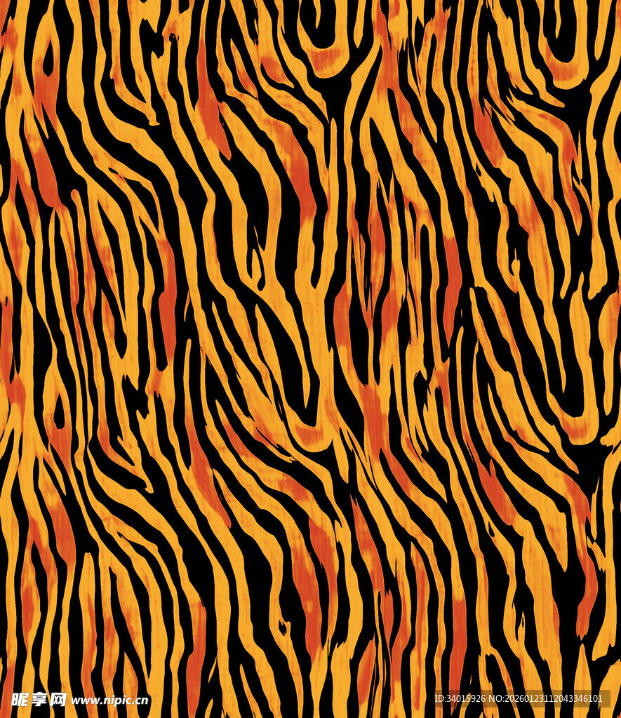 绚丽斑马纹图案