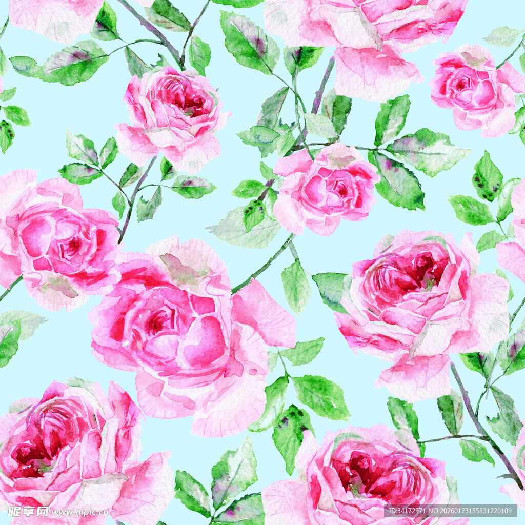 粉色玫瑰花卉图案背景